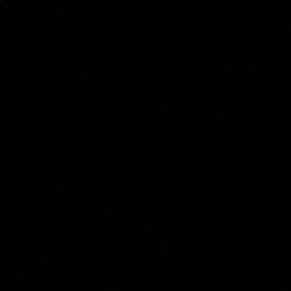 Meet your Posher, Reem 💕